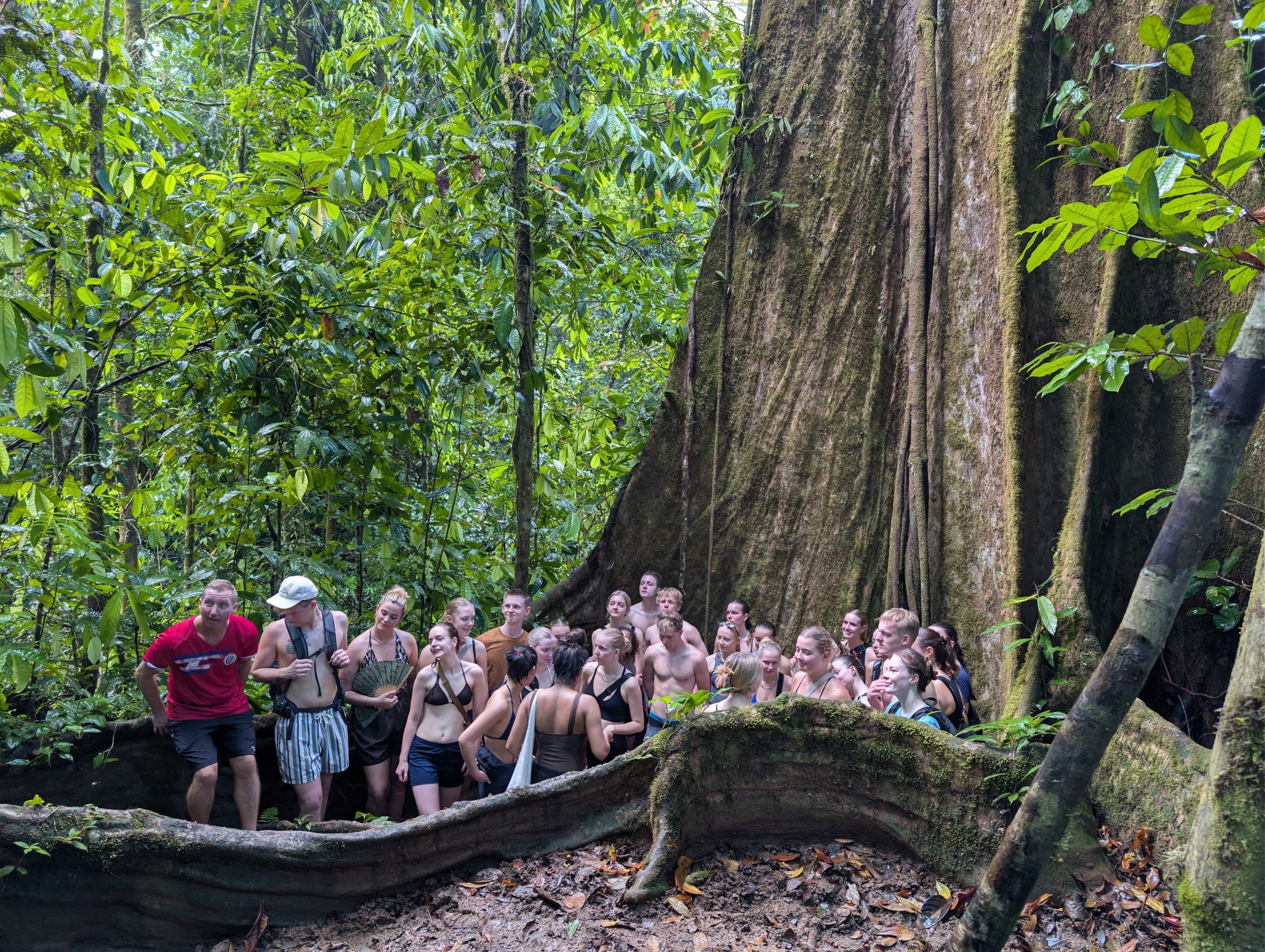 Educational experiences in Costa Rica